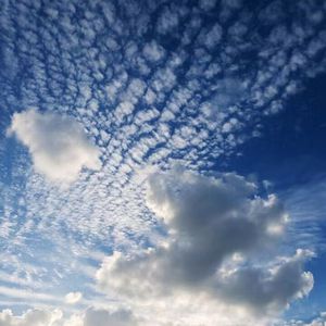 有一个老太婆和小伙子黄色毛片演一个有一个小伙子黄色毛片
